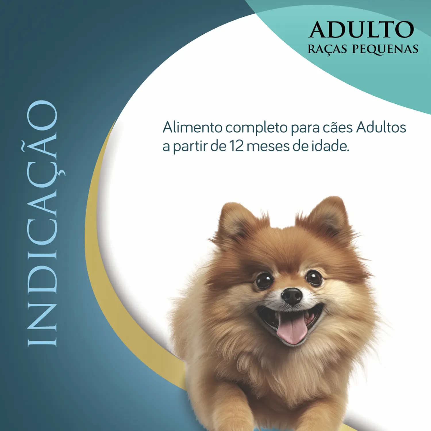 Ração Qualiday Pro Life Cães Adultos Raças Pequenas Frango, Batata Doce e Cúrcuma