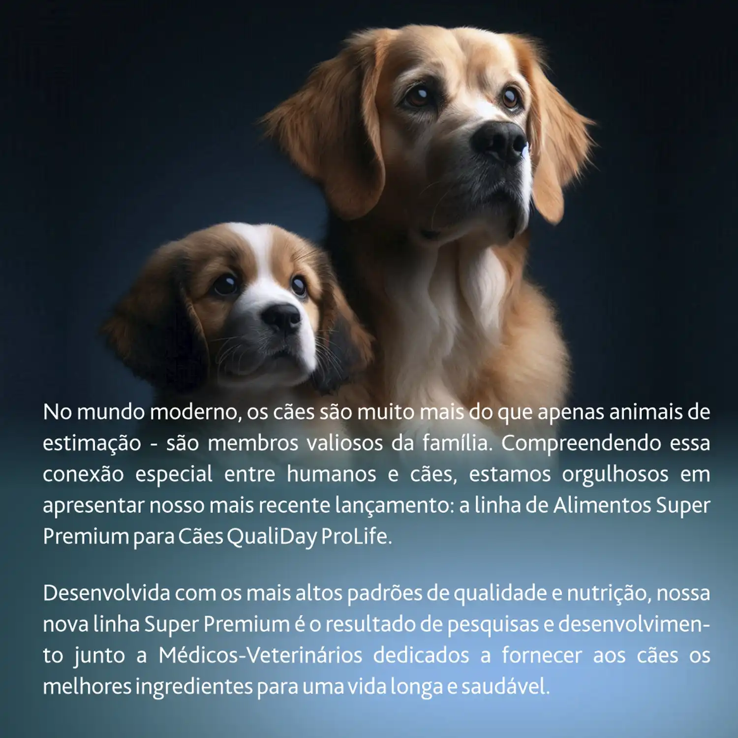 Benner-Racao-Qualiday-Pro-Life-Caes