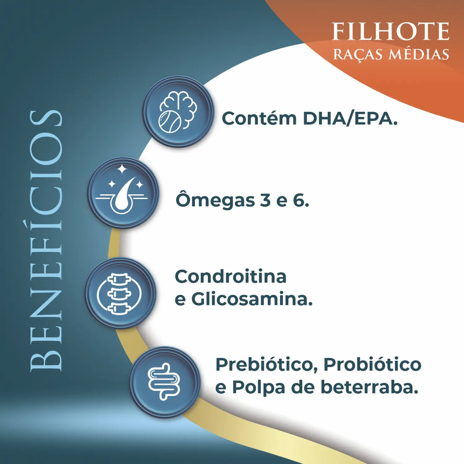 Ração Qualiday Pro Life Cães Filhotes Raças Médias e Grandes Frango, Batata Doce e Romã Ração Qualiday Pro Life Cães Filhotes Raças Médias e Grandes Frango, Batata Doce e Romã