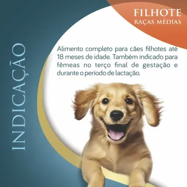 Indicacao-da-Racao-Qualiday-Pro-Life-Caes-Filhotes-Racas-Medias-e-Grandes-Frango-Batata-Doce-e-Roma