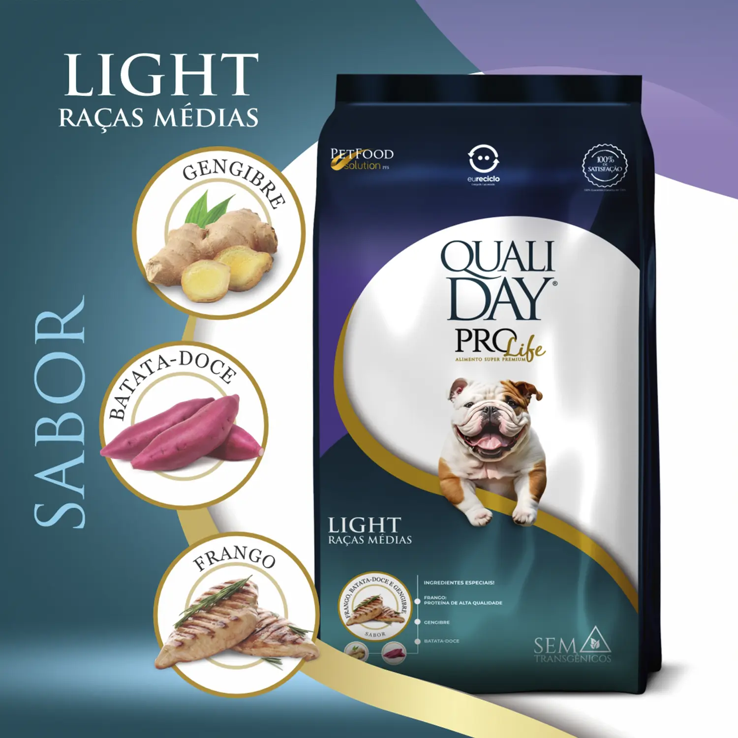 Ração Qualiday Pro Life Light Cães Adultos Raças Médias e Grandes Frango, Batata Doce e Gengibre Ração Qualiday Pro Life Light Cães Adultos Raças Médias e Grandes Frango, Batata Doce e Gengibre
