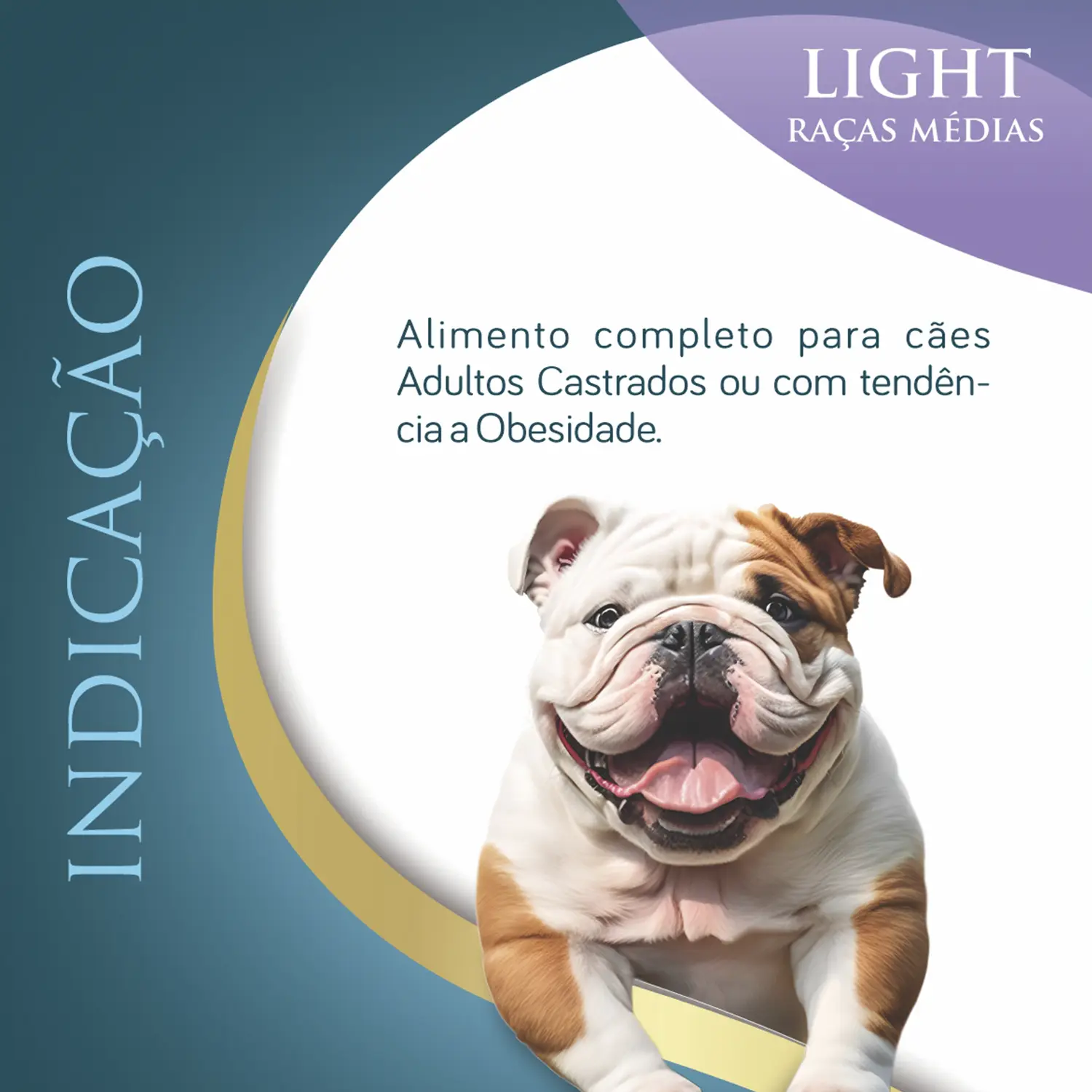 Ração Qualiday Pro Life Light Cães Adultos Raças Médias e Grandes Frango, Batata Doce e Gengibre Ração Qualiday Pro Life Light Cães Adultos Raças Médias e Grandes Frango, Batata Doce e Gengibre