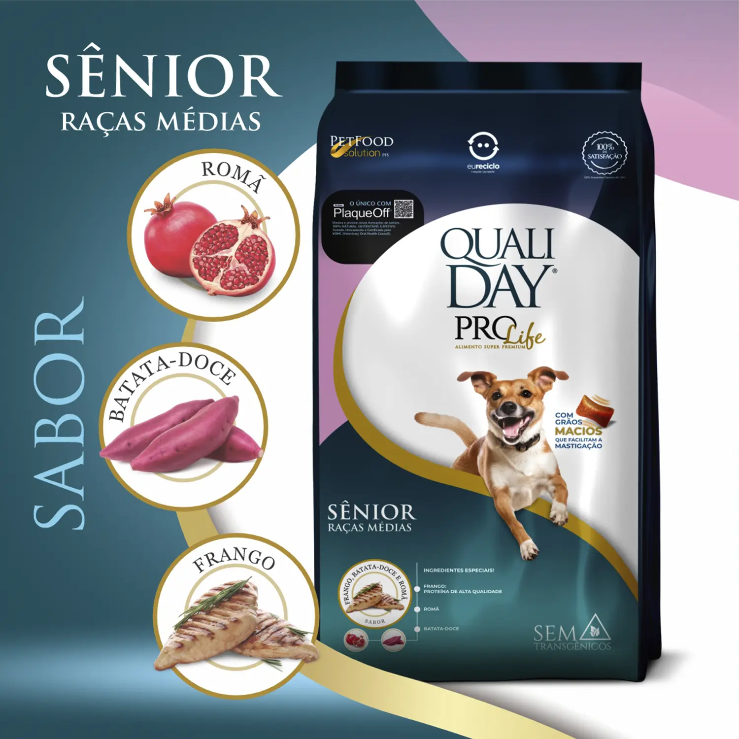 Ração Qualiday Pro Life Cães Sênior Raças Médias e Grandes Frango, Batata Doce e Romã