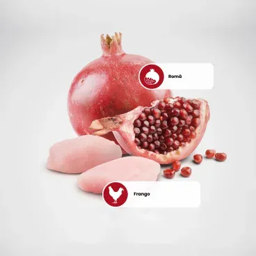 racao-nd-prime-caes-adultos-medium-frango-2