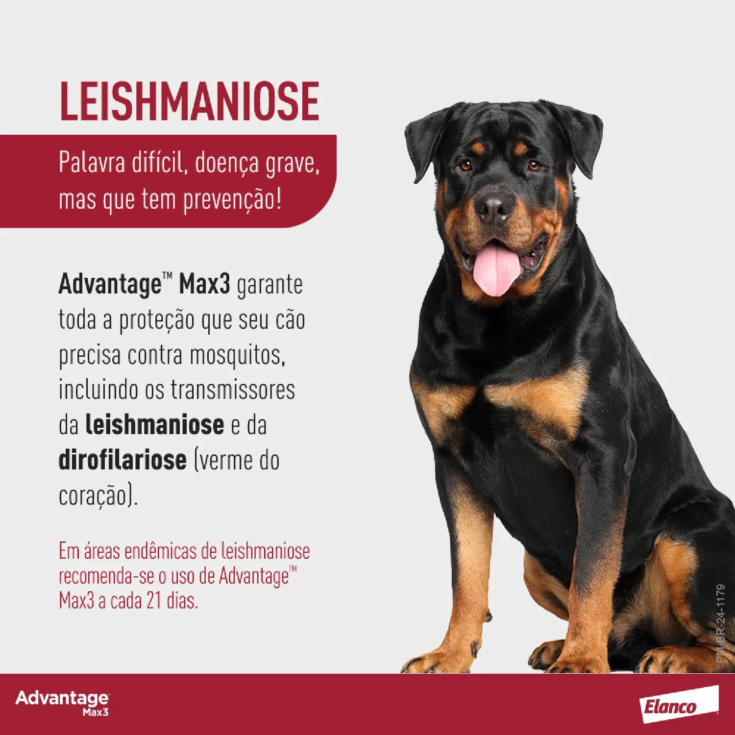 Antipulgas Advantage Max3 Cães mais de 25kg