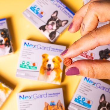 Nexgard-Antipulgas-e-Carrapatos-para-Cachorros-de-2-a-4kg-tablete