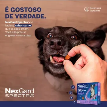 Nexgard_spectra_Gostoso-de-verdade