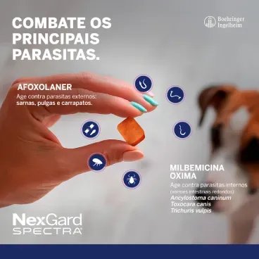 Nexgard_spectra_combate-parasitas