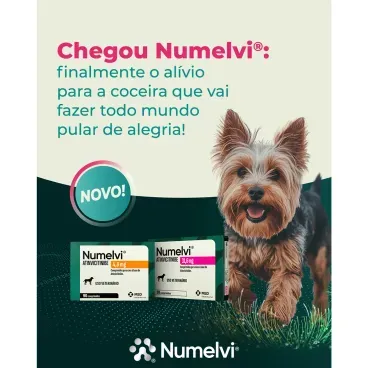 1-Numelvi Tratamento para Coceira em Caes