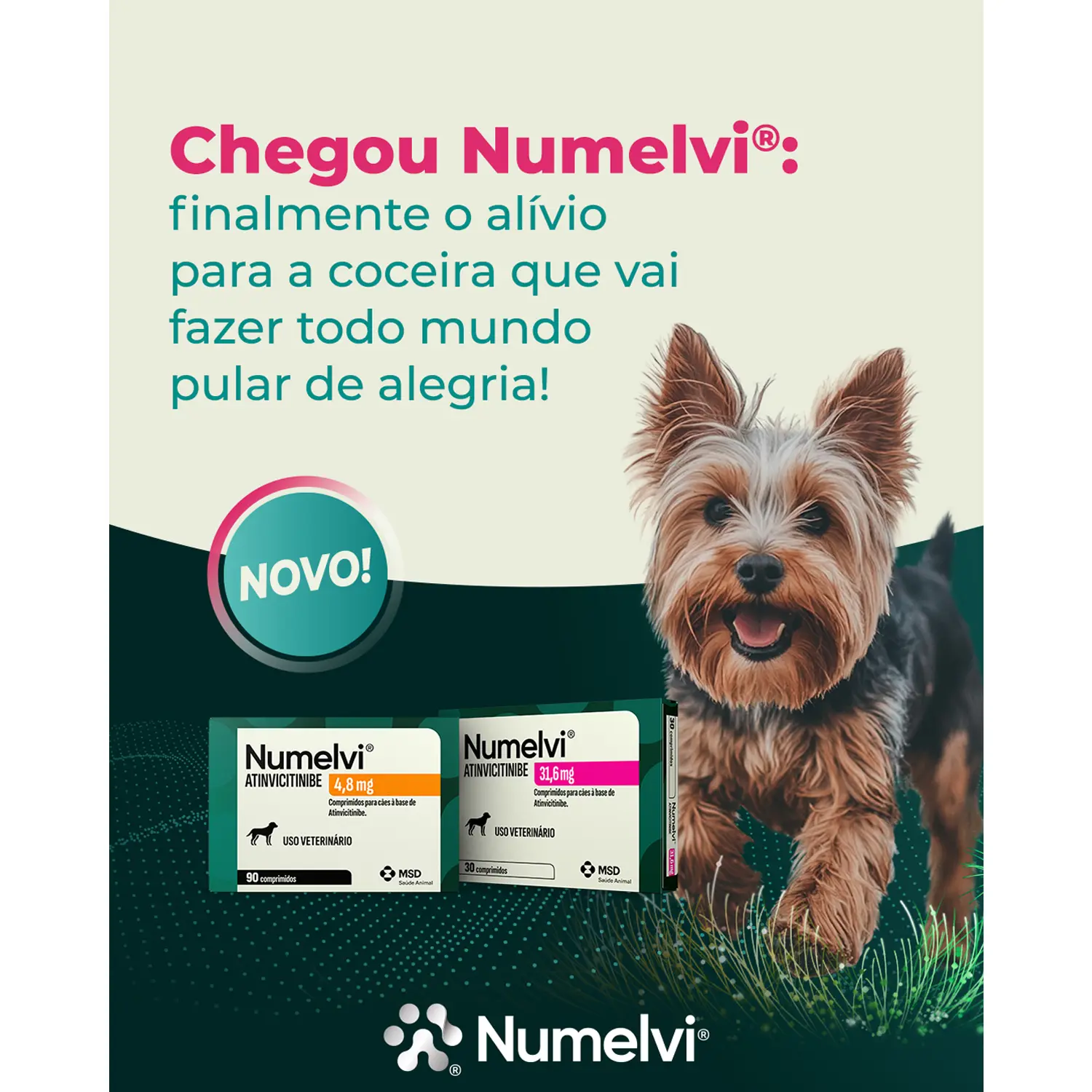 1-Numelvi-Tratamento-para-Coceira-em-Caes