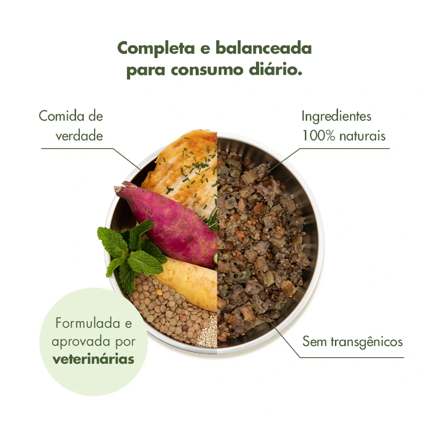 Ração Úmida Baixo Fósforo para Cães Sênior Zee.Dog Kitchen