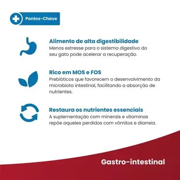 3-Racao Vet Life Natural Gastrointestinal para Gatos Adultos