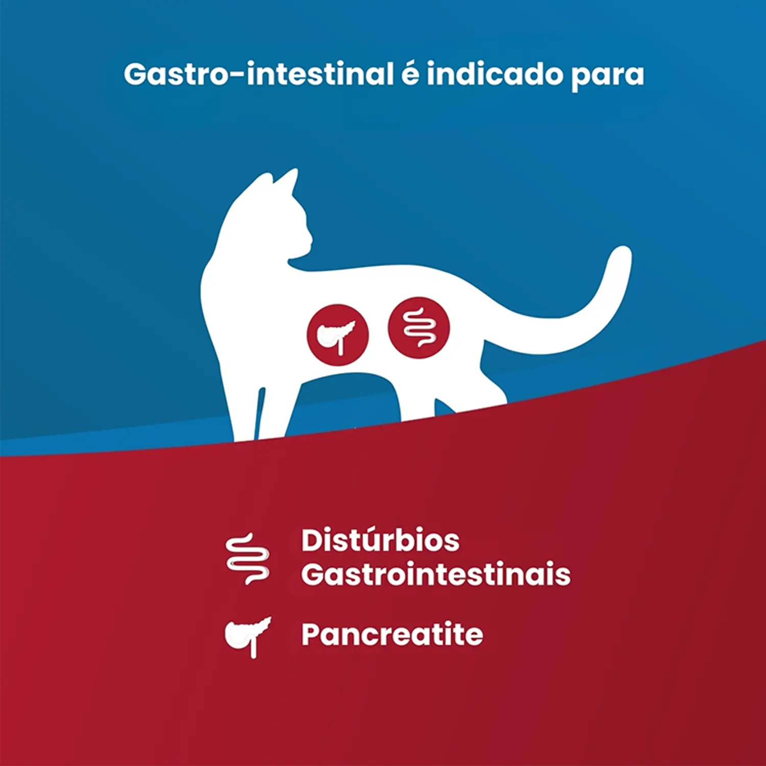 2-Racao Vet Life Natural Gastrointestinal para Gatos Adultos