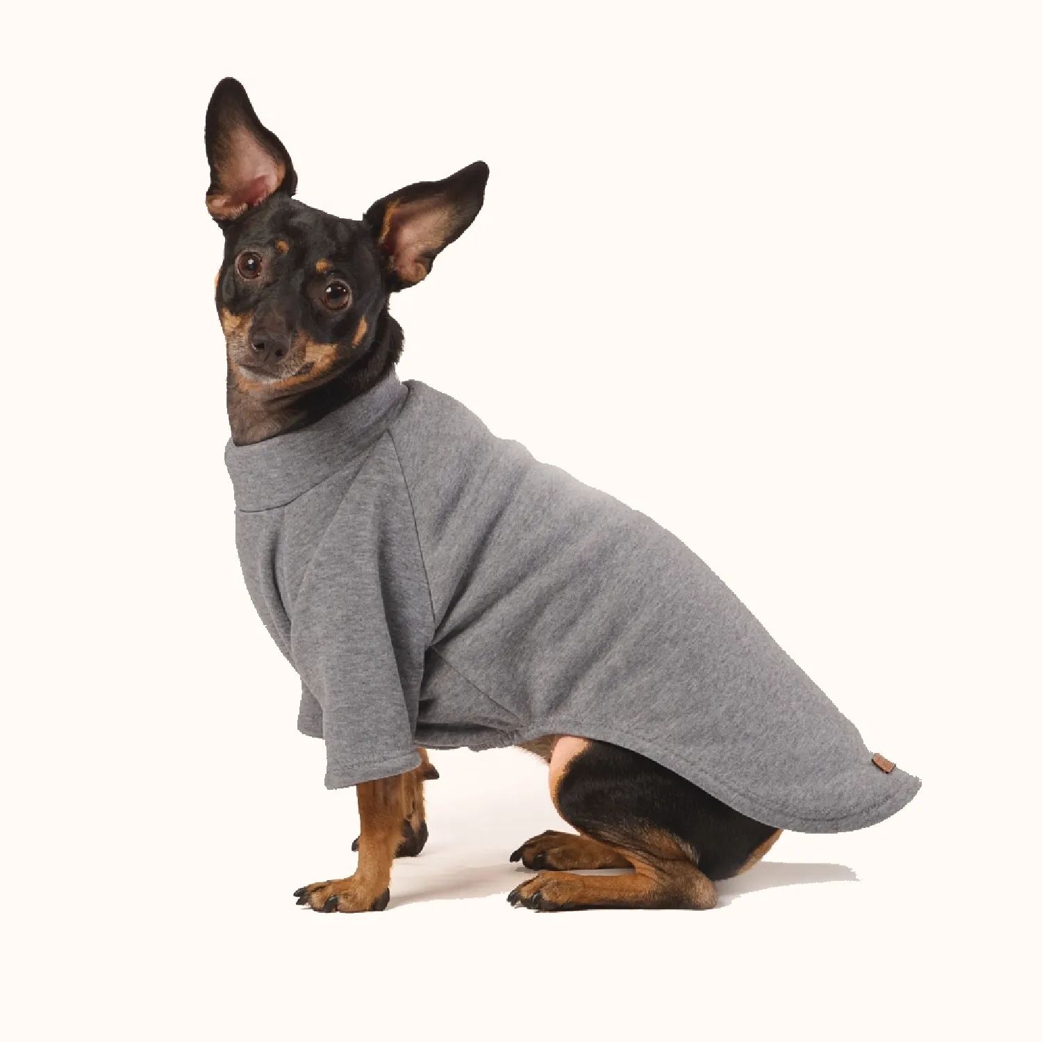 Moletom com Manga Fábrica Pet Cinza
