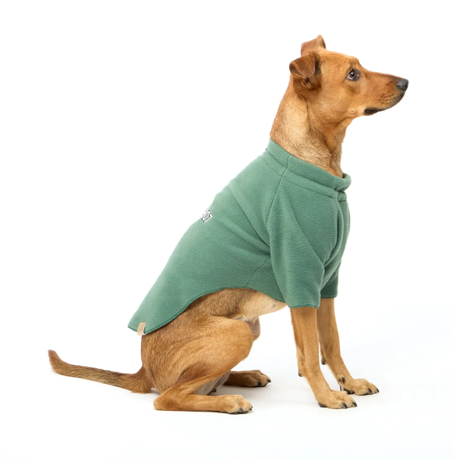 Blusa-2007-Verde-Lateral
