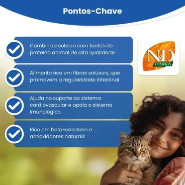racao-nd-pumpkin-gatos-6