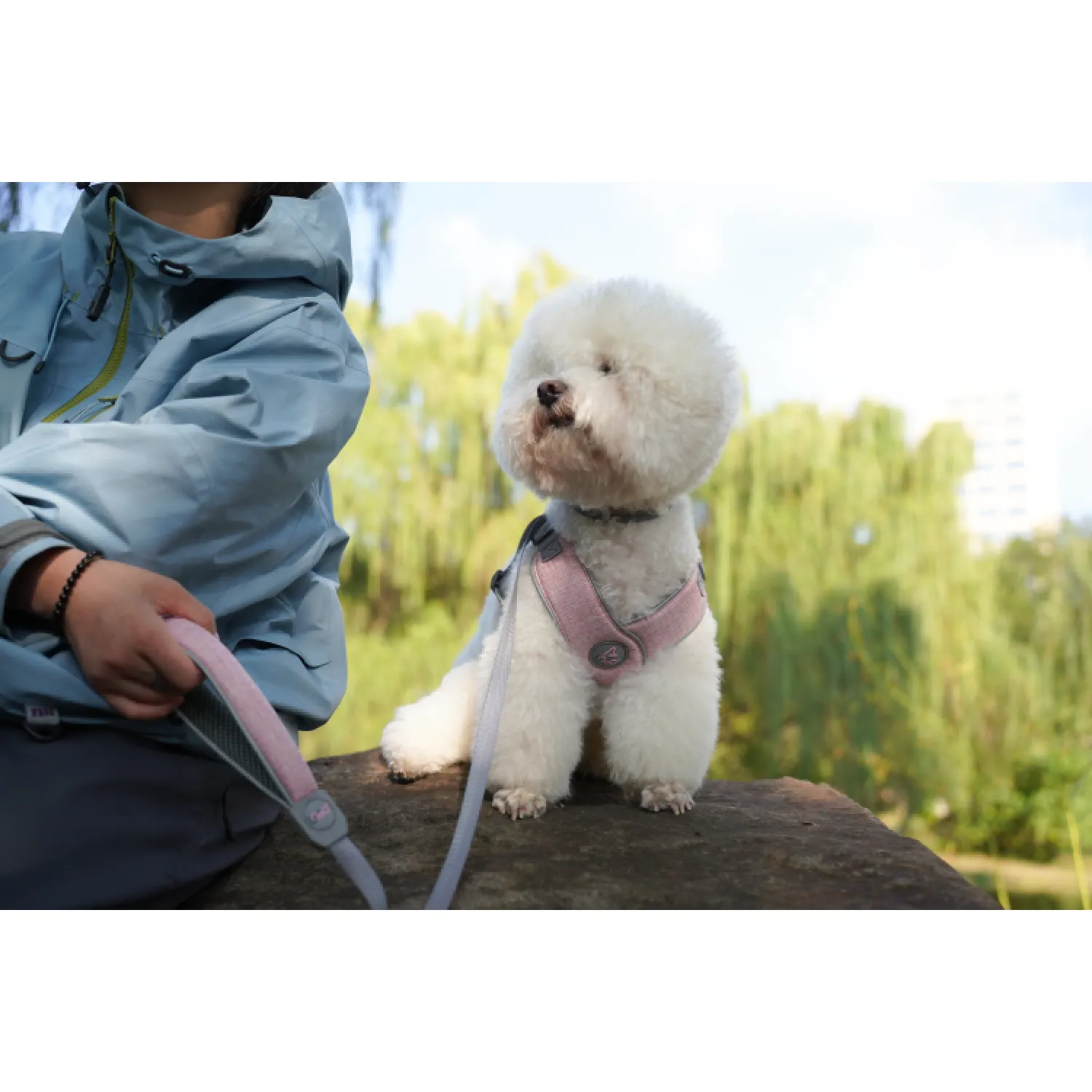 Guia-para-Caes-Mesh-Leash-Doco-Detalhe-2