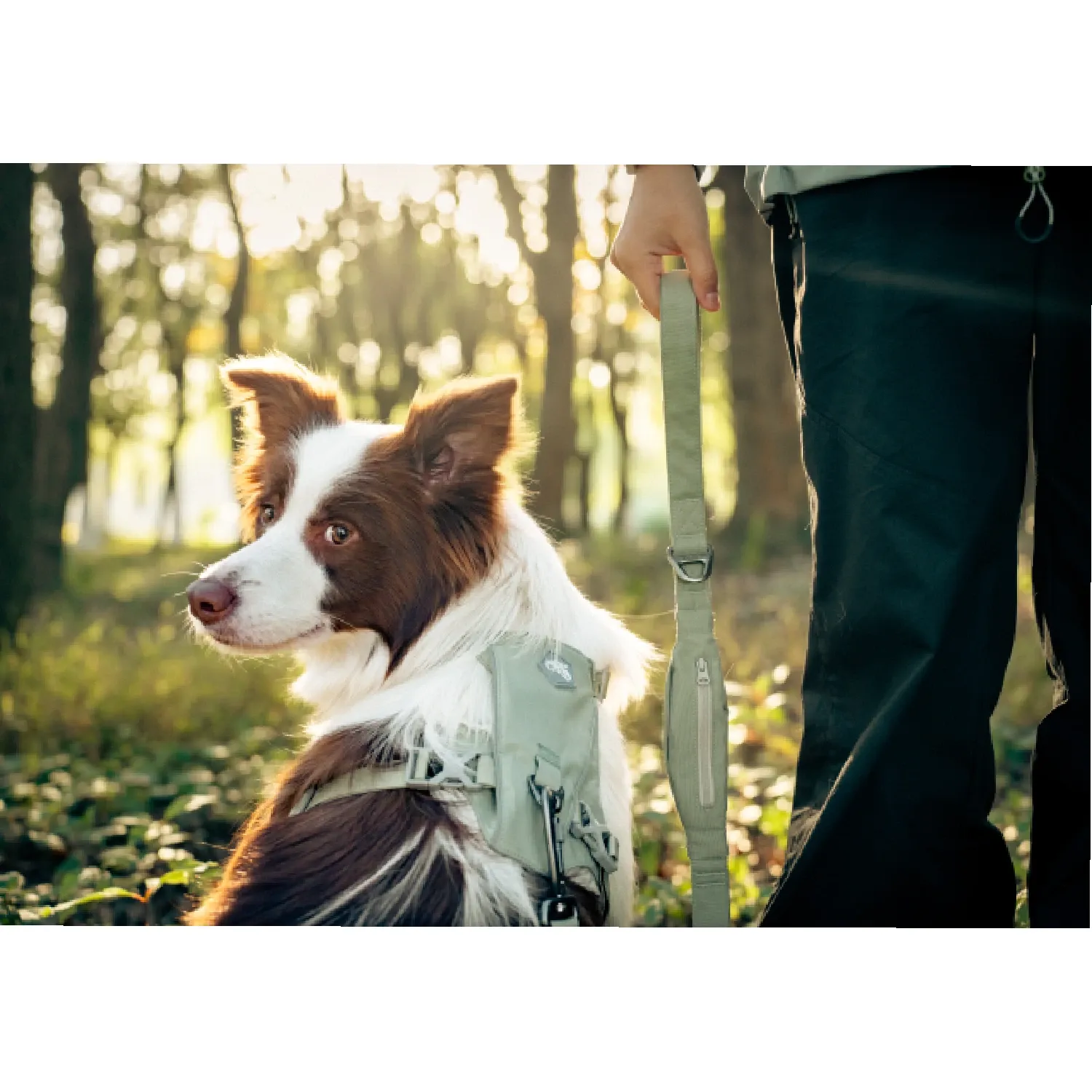 Peitoral para Cães Vertex Harness Doco Lilás
