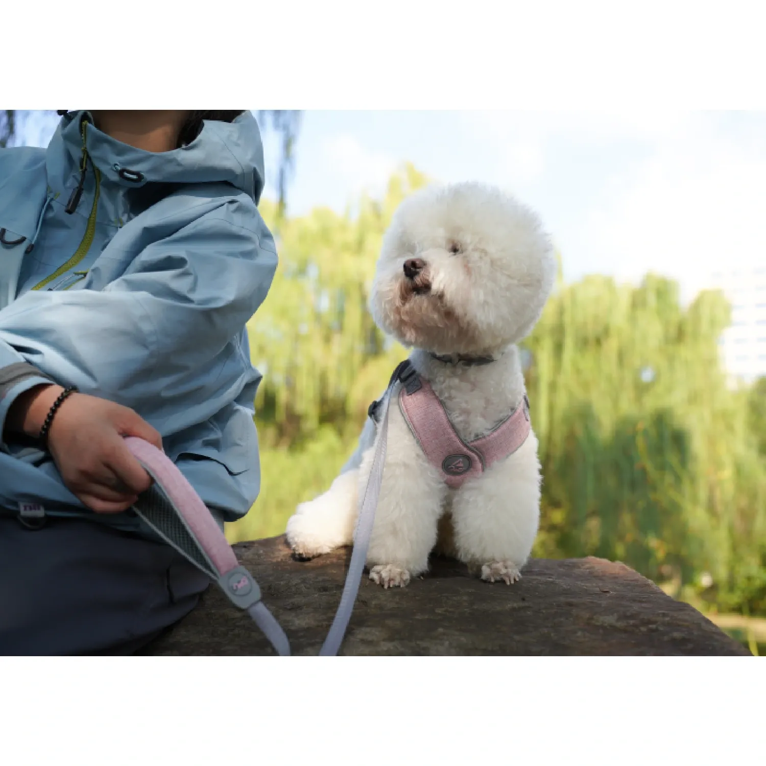 Peitoral X para Cães Doco Cinza