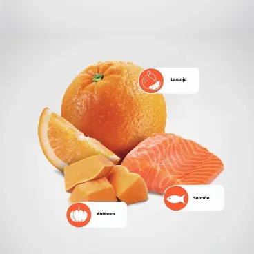 Principais-ingredientes-da-Racao-N-D-Pumpkin-Gatos-Adultos-Salmao-e-Laranja-3