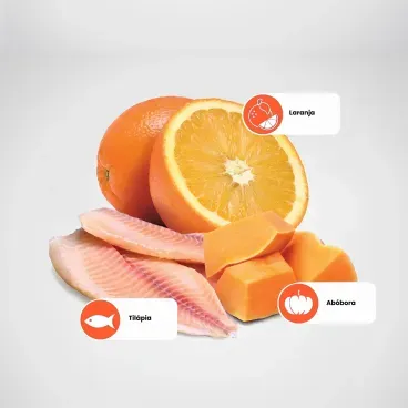Principais-ingredientes-da-Racao-N-D-Pumpkin-Gatos-Adultos-Tilapia-e-Laranja-3