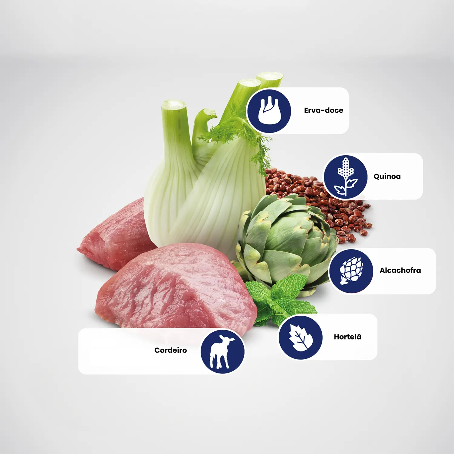 Principais-ingredientes-da-Racao-Umida-N-D-Quinoa-Caes-Digestion-140-g-5