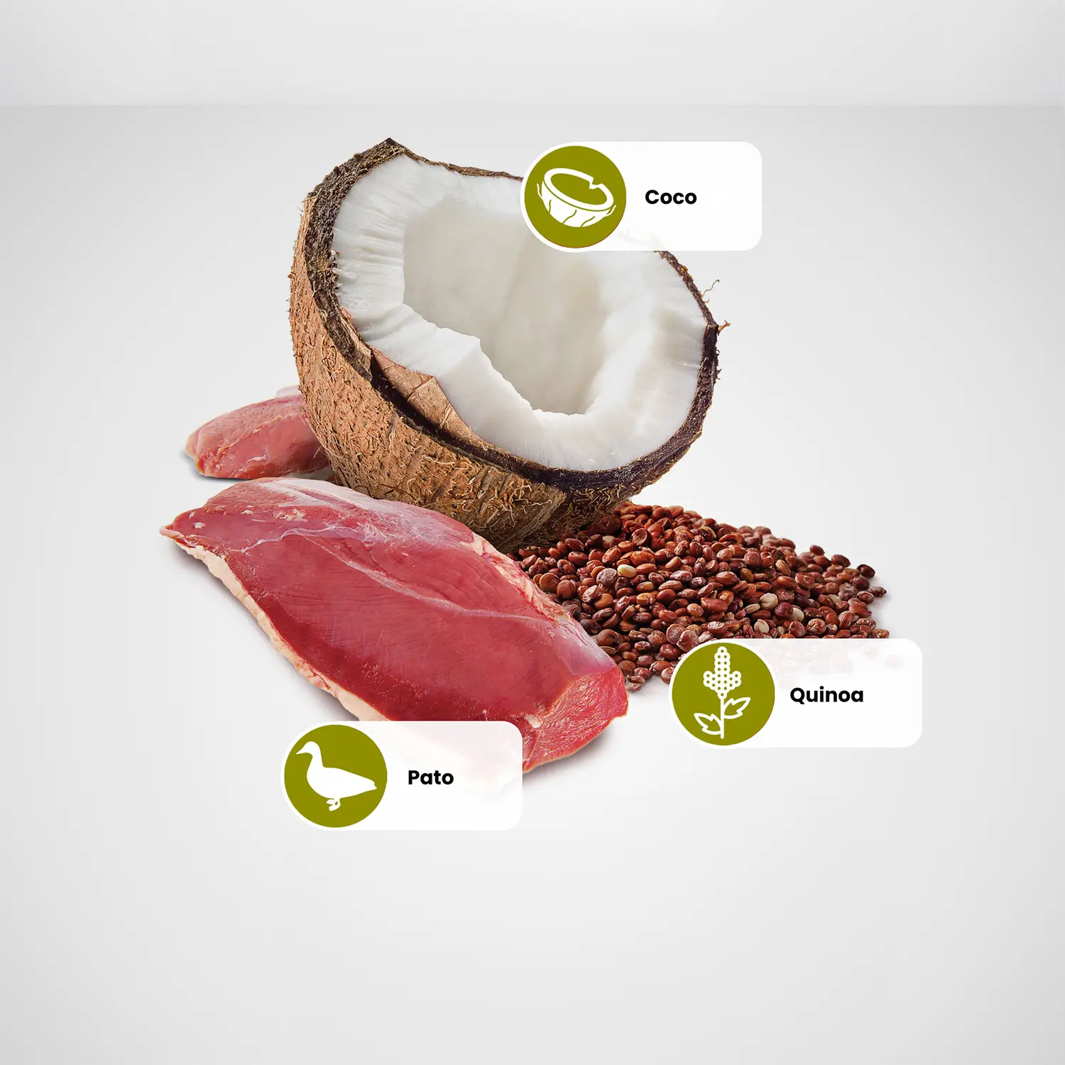 Principais-ingredientes-da-Racao-Umida-N-D-Quinoa-Caes-Skin-e-Coat-Pato-140-g