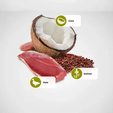 Principais-ingredientes-da-Racao-Umida-N-D-Quinoa-Caes-Skin-e-Coat-Pato-140-g