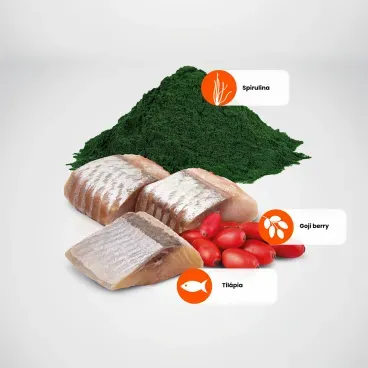 Racao-N-D-Spirulina-Caes-Adultos-Medium-e-Maxi-Tilapia-principais-ingredientes