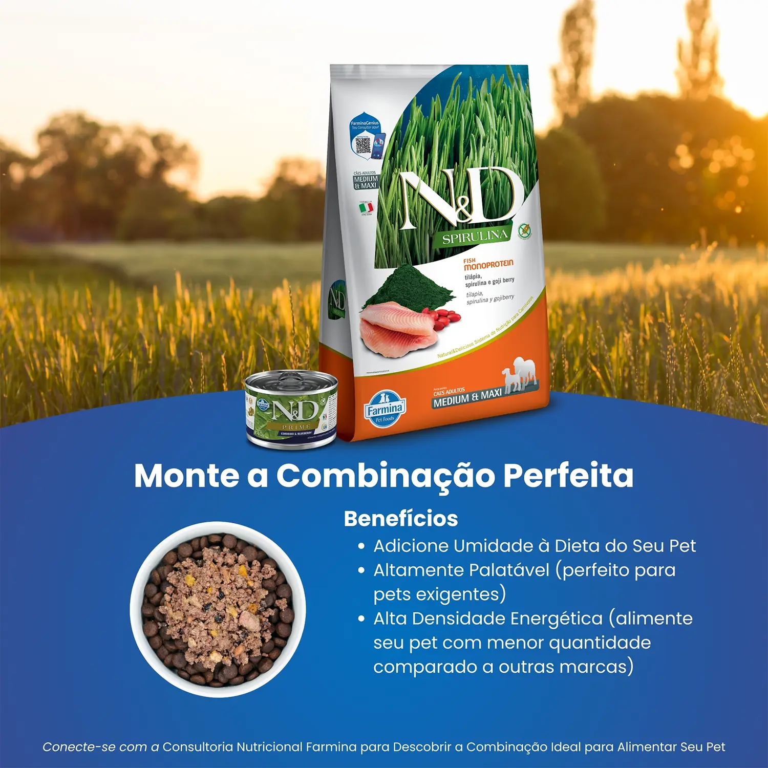 Ração N&D Spirulina Cães Adultos Medium e Maxi Tilápia