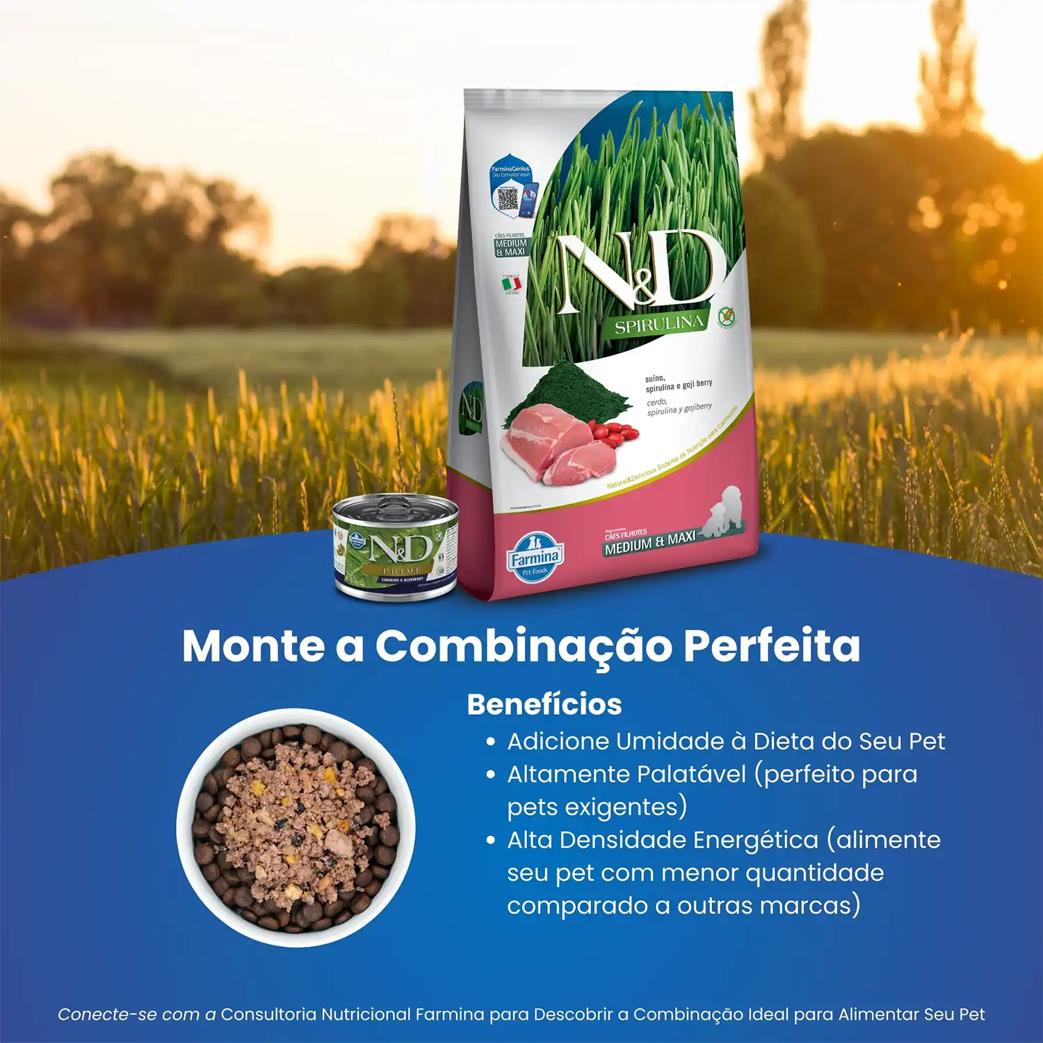 Ração N&D Spirulina Cães Puppy Medium e Maxi Suíno