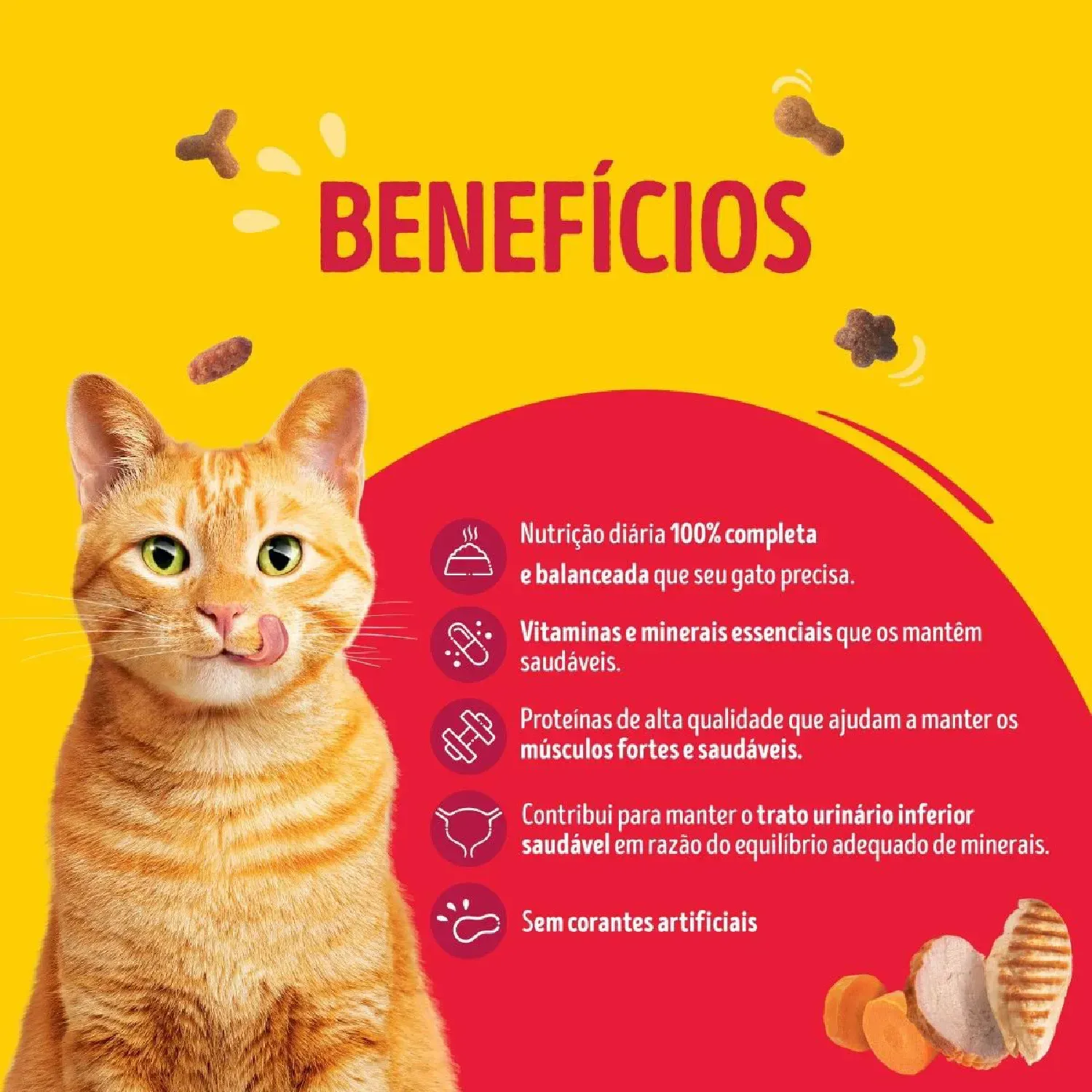 Novo-Projeto--2-