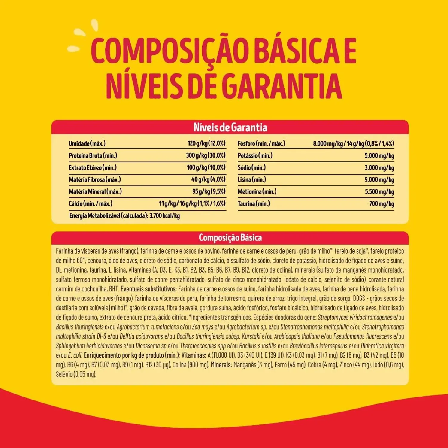 Novo-Projeto--4-