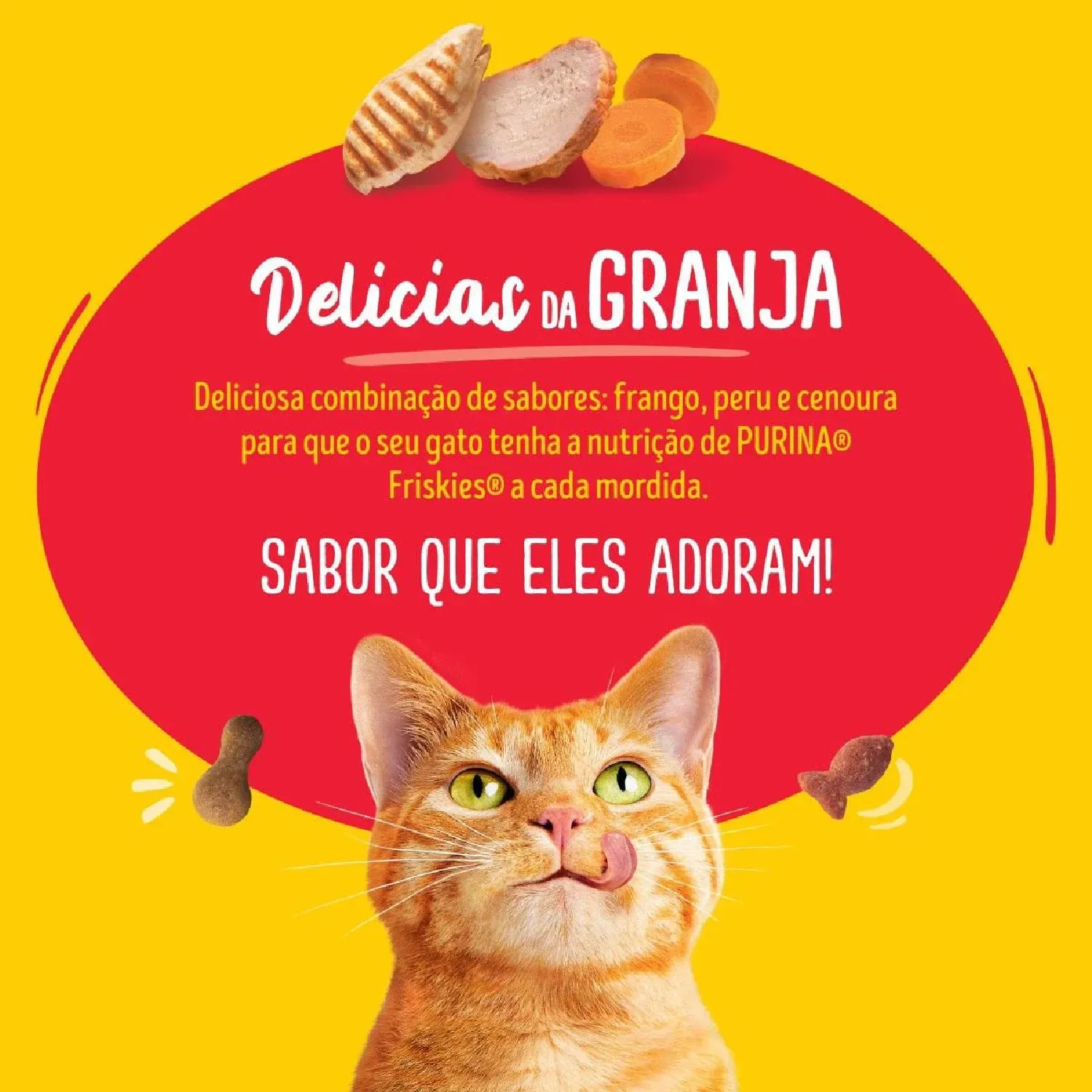 Novo-Projeto--6-