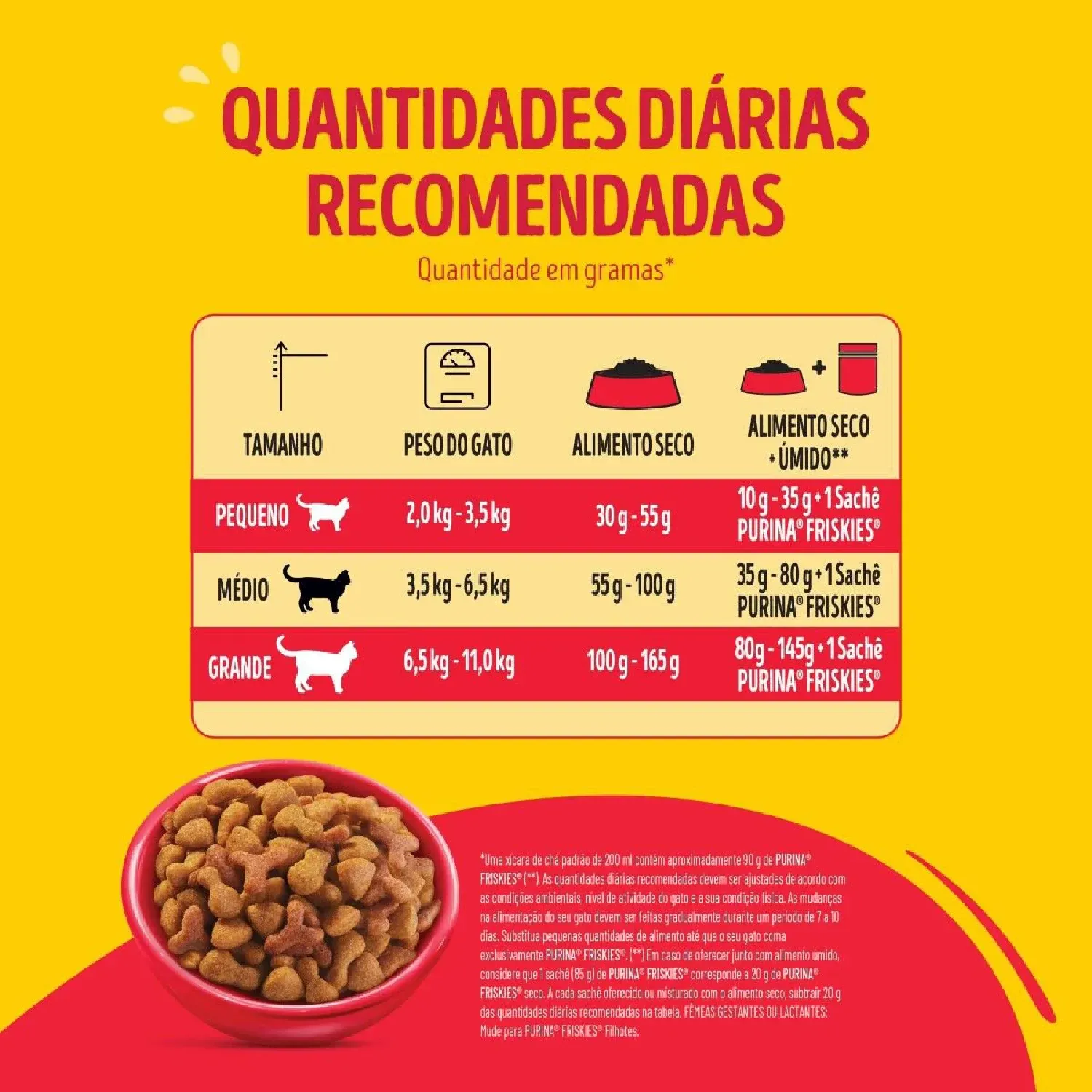 Novo-Projeto--3-