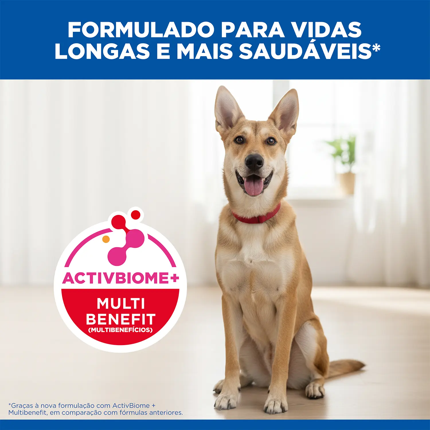 3-Racao Hill's Science Diet para Caes Adultos Frango