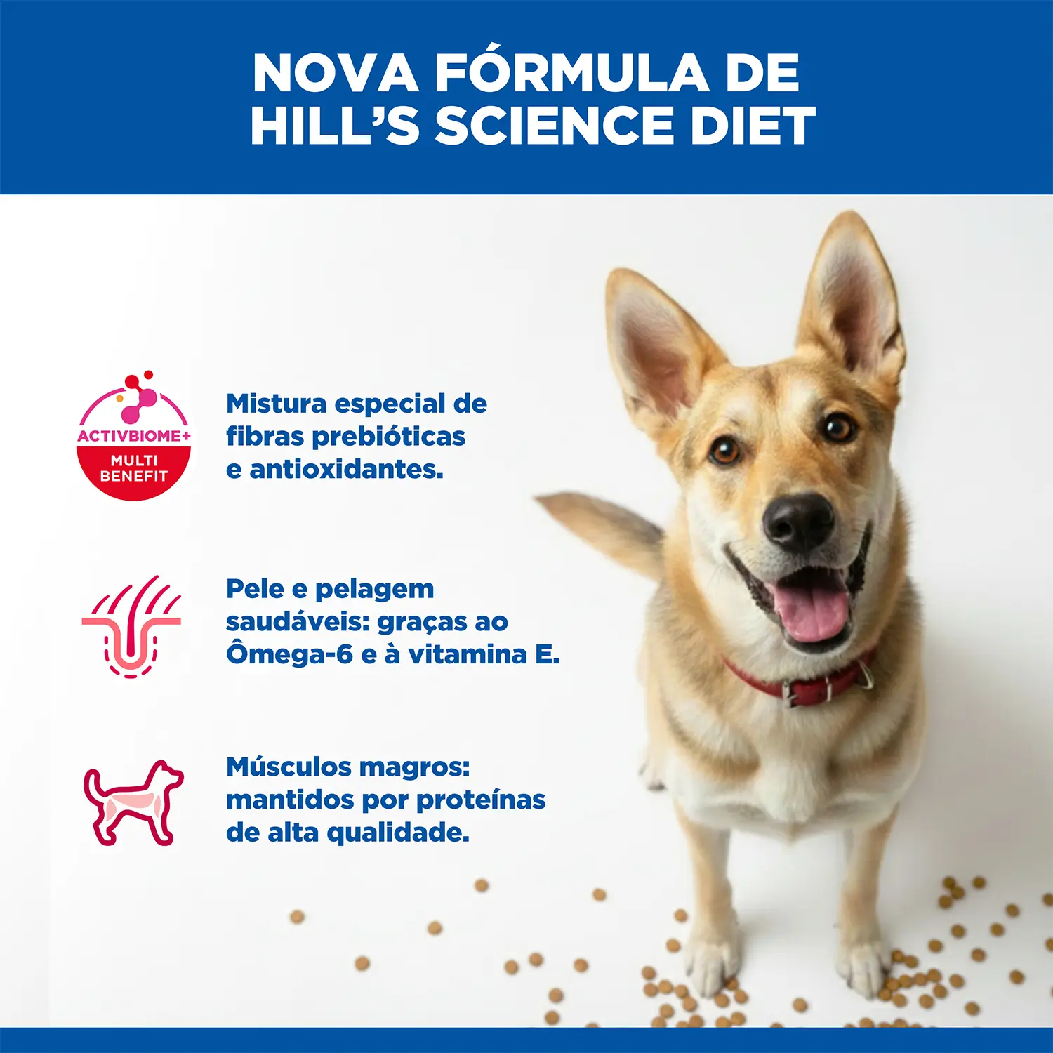 4-Racao Hill's Science Diet para Caes Adultos Frango