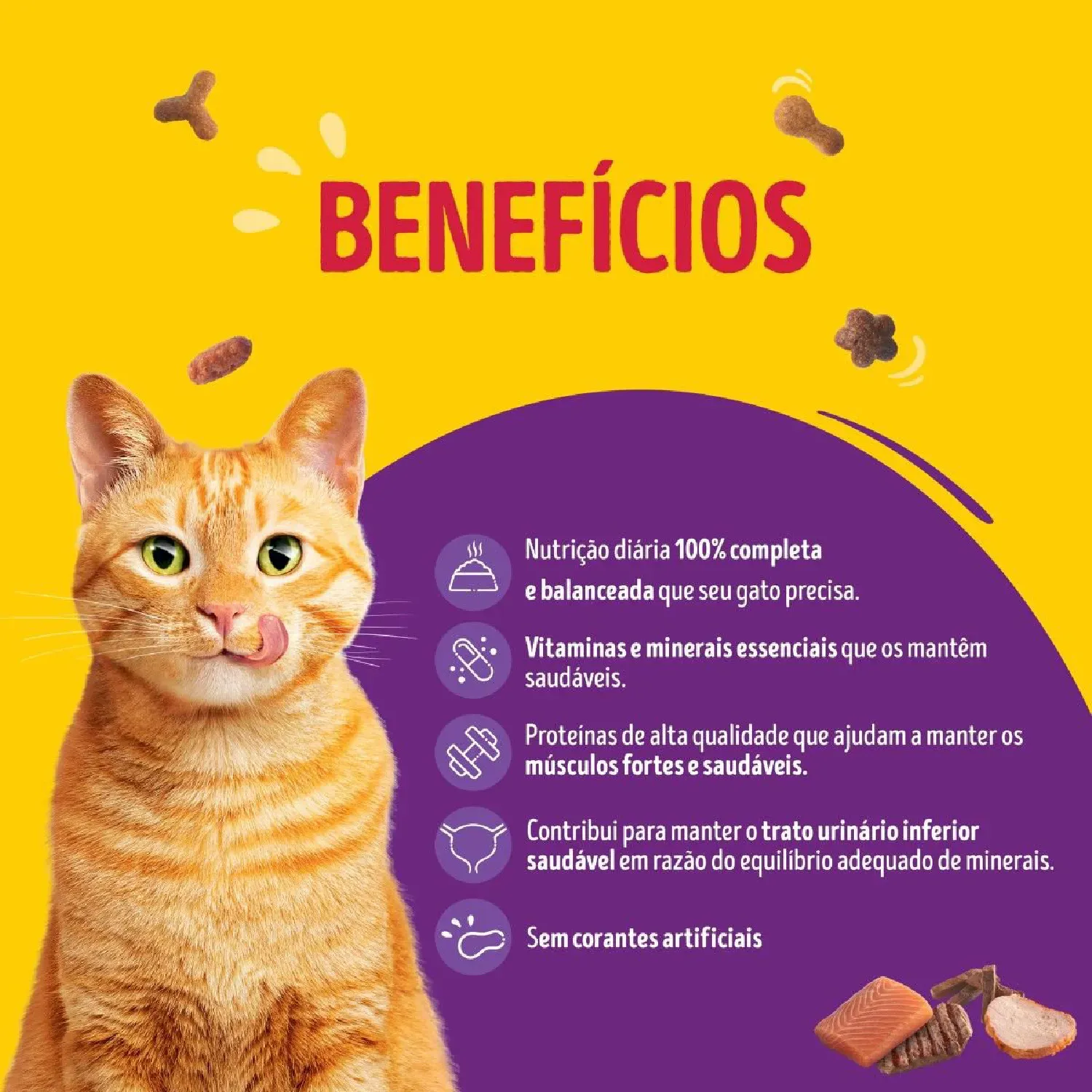 Racao-Friskies-Gatos-Adultos-Megamix-5