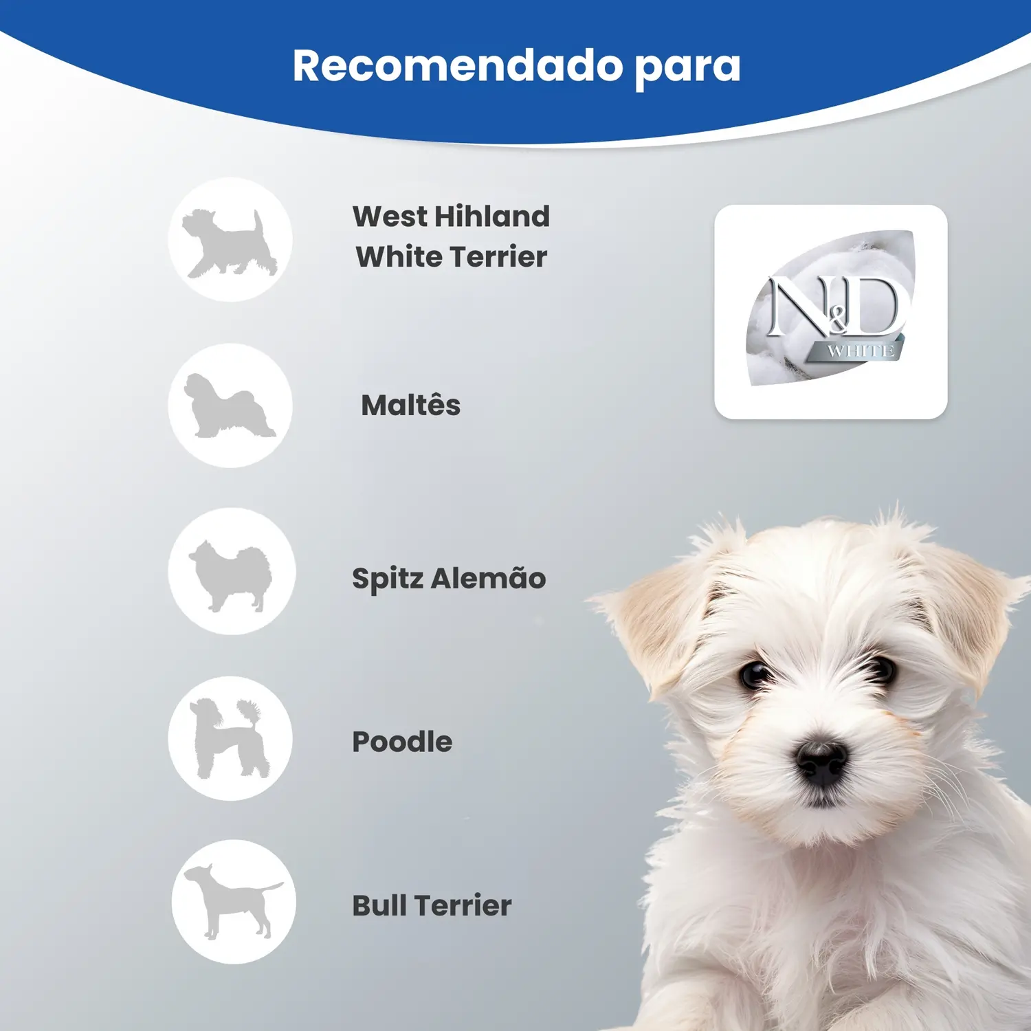 Ração N&D White para Cães Adultos Raças Mini e Pequenas Ração N&D White para Cães Adultos Raças Mini e Pequenas