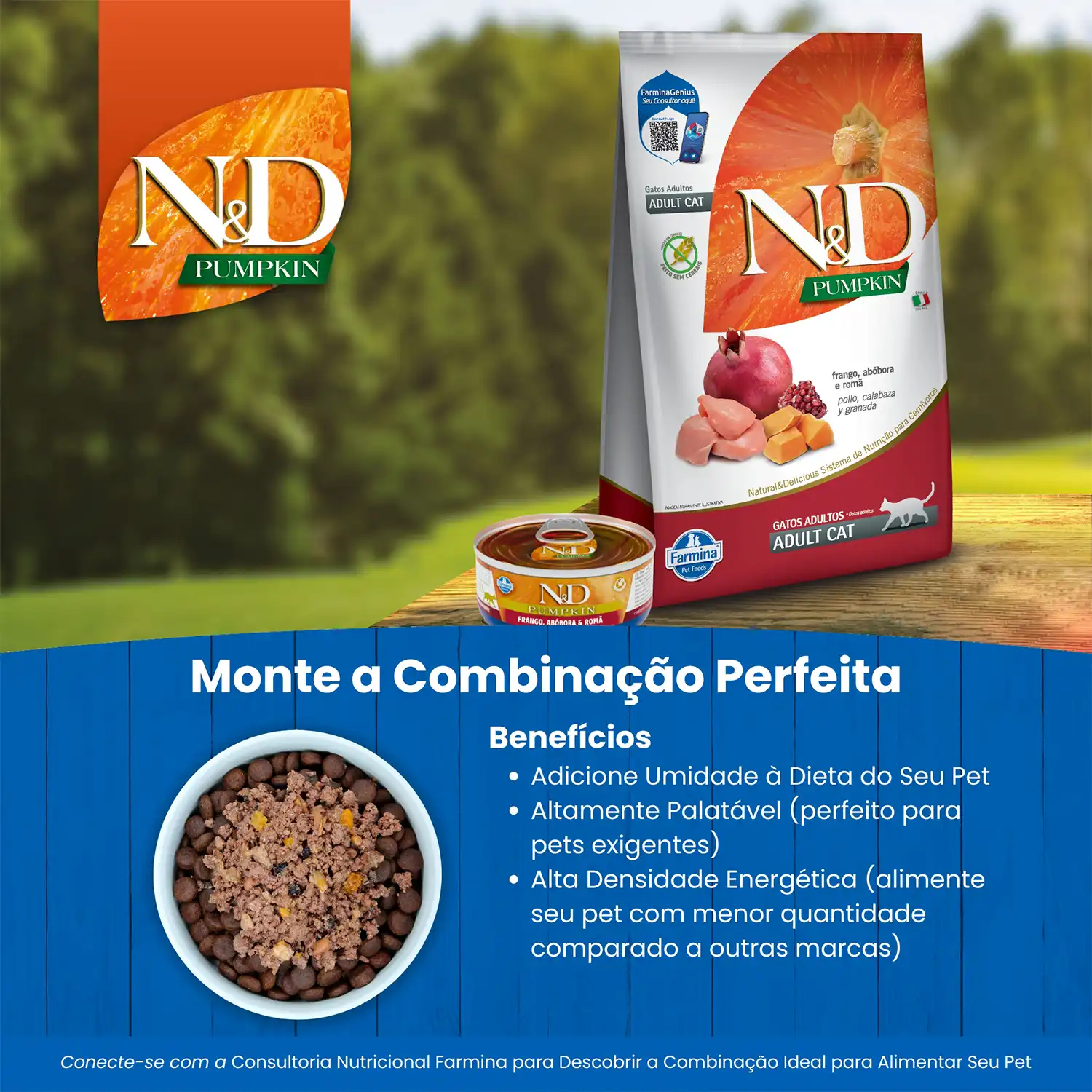Racao-Umida-N-D-Pumpkin-Gatos-Adultos-Frango-Abobora-e-Roma-monte-a-combinacao-perfeita