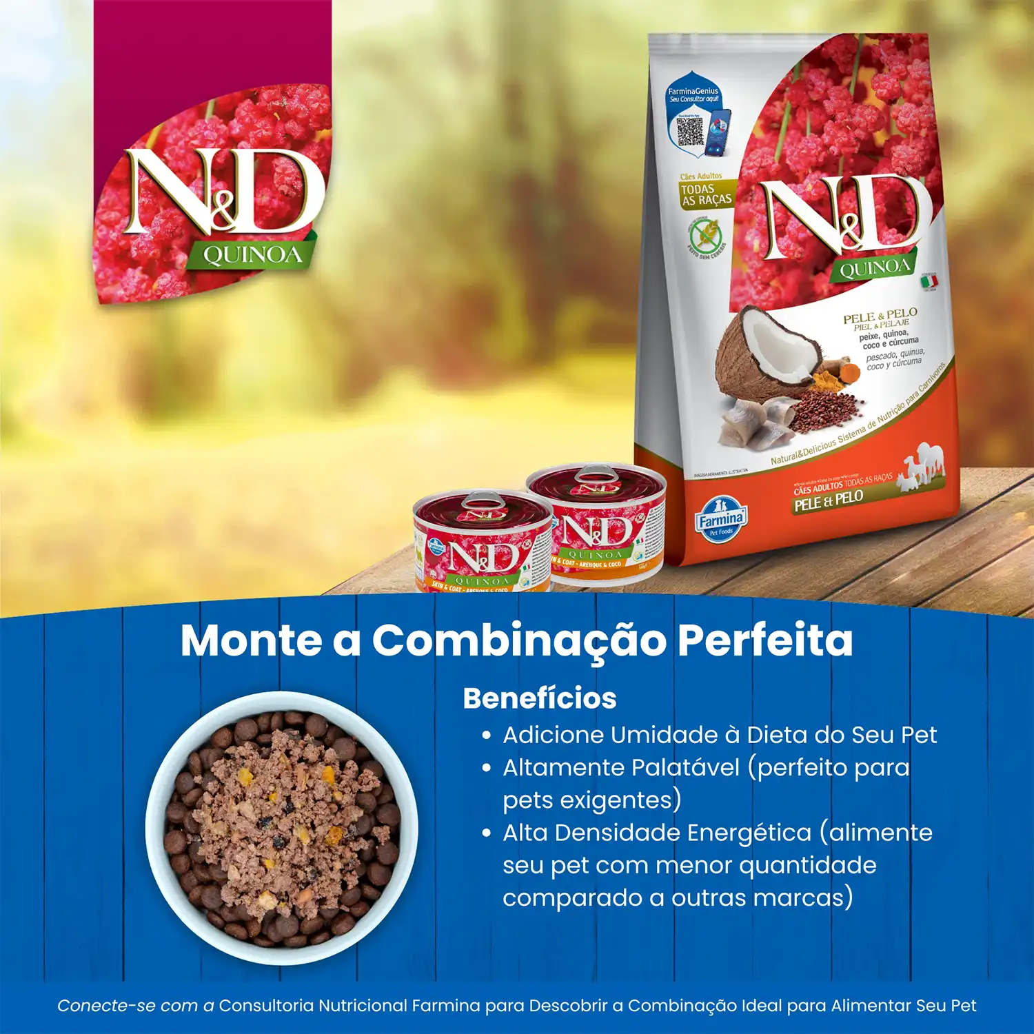 Monte-a-combinacao-perfeita-da-Racao-N-D-Quinoa-Caes-Adultos-Skin---Coat-Peixe-7