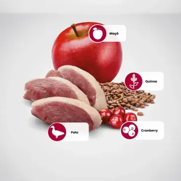 Principais-ingredientes-da-Racao-N-D-Quinoa-Gatos-Adultos-Hairball-Pato