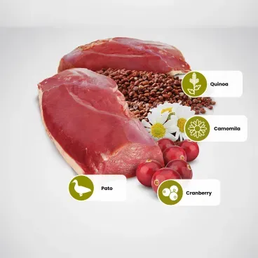 Racao-N-D-Quinoa-Gatos-Adultos-Urinary-Pato-principais-ingredientes