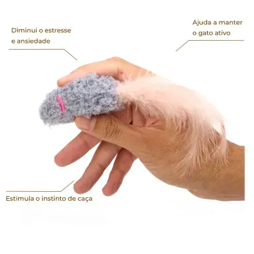Imagem do Produto