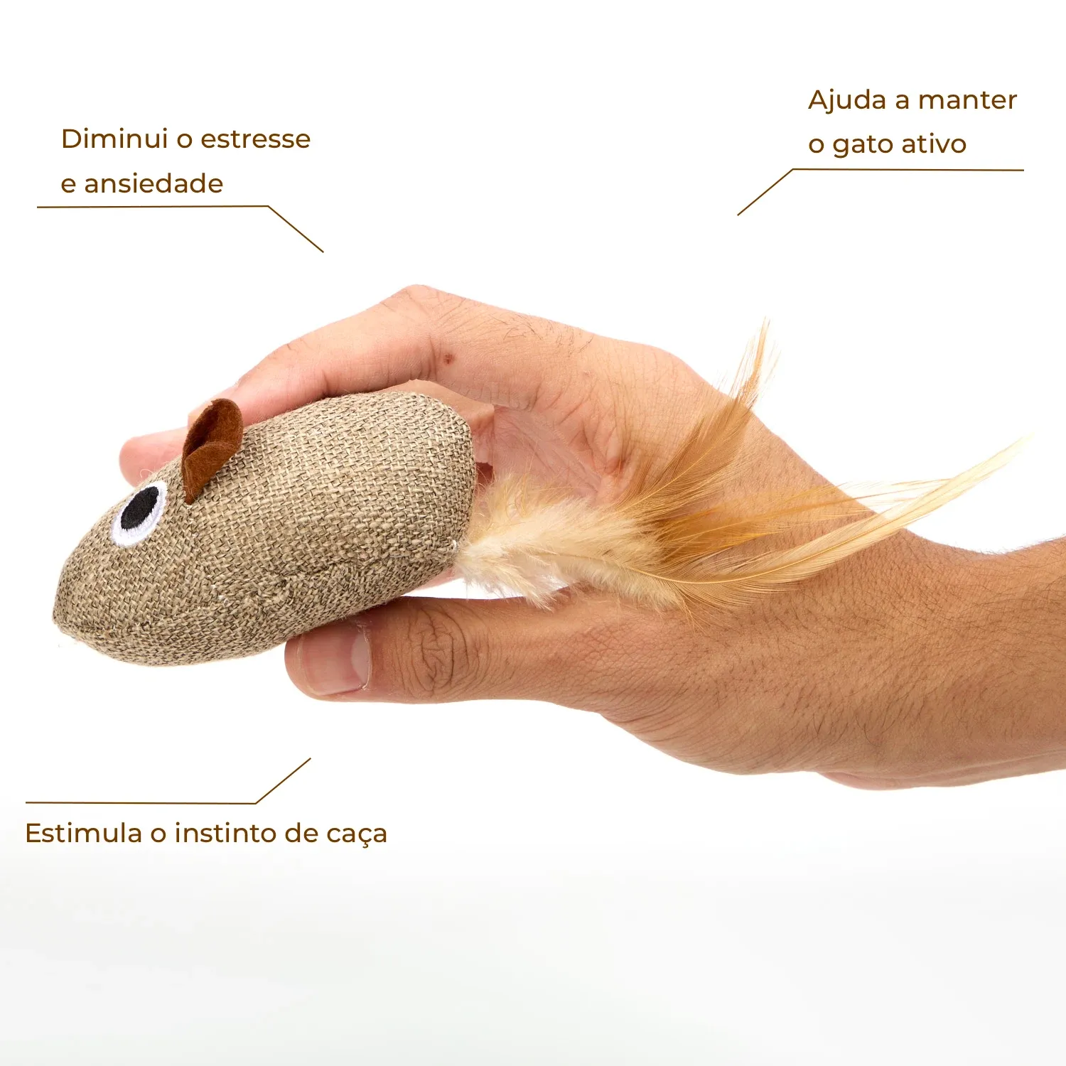Imagem do Produto
