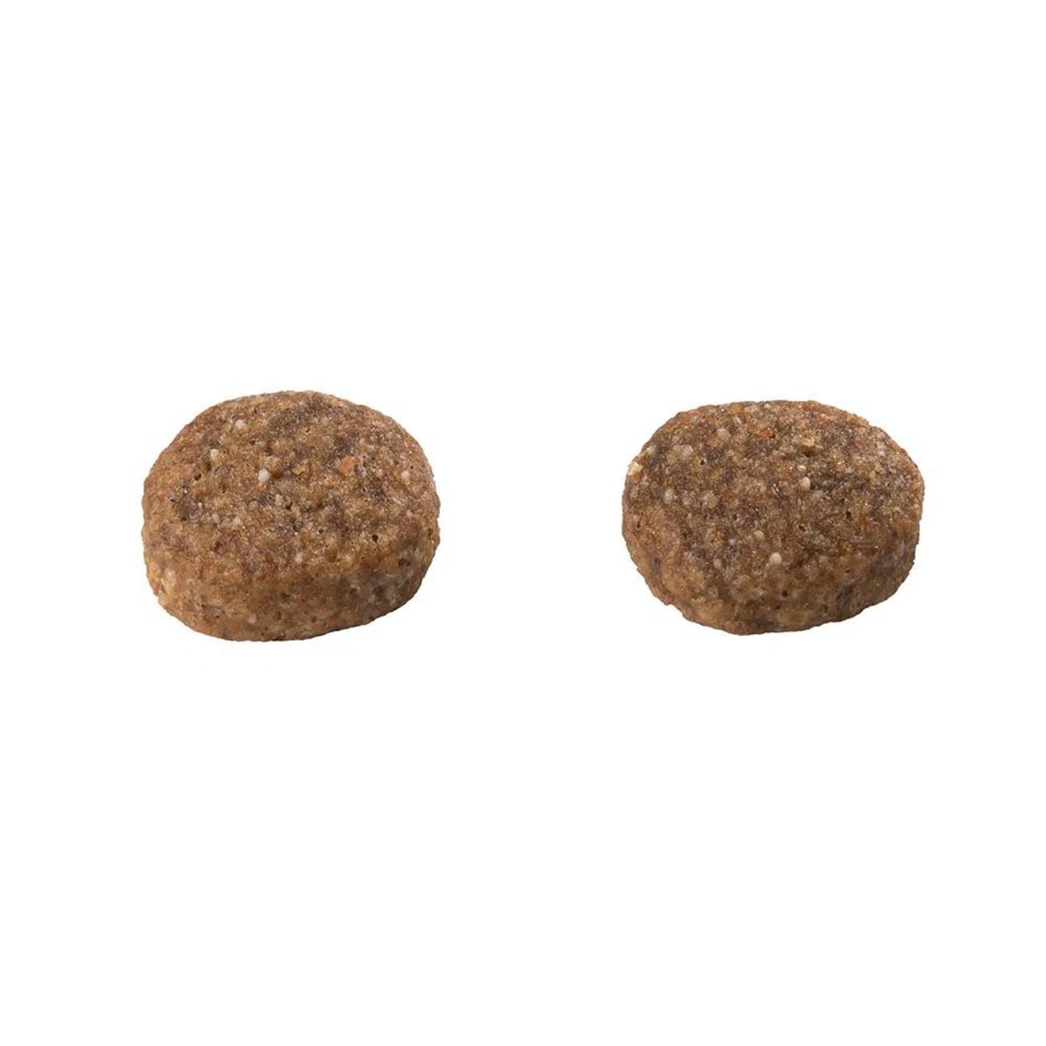 Racao-Guabi-Natural-Caes-Adultos-Sensitive-Racas-Mini-Pequeno-e-Medio-Salmao-e-Aveia-tamanho-do-grao