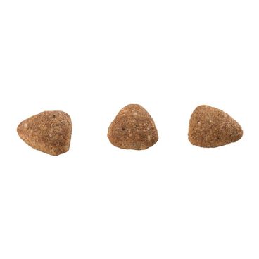 racao-guabi-natural-gatos-senior-castrados-frango-e-arroz-integral-grao