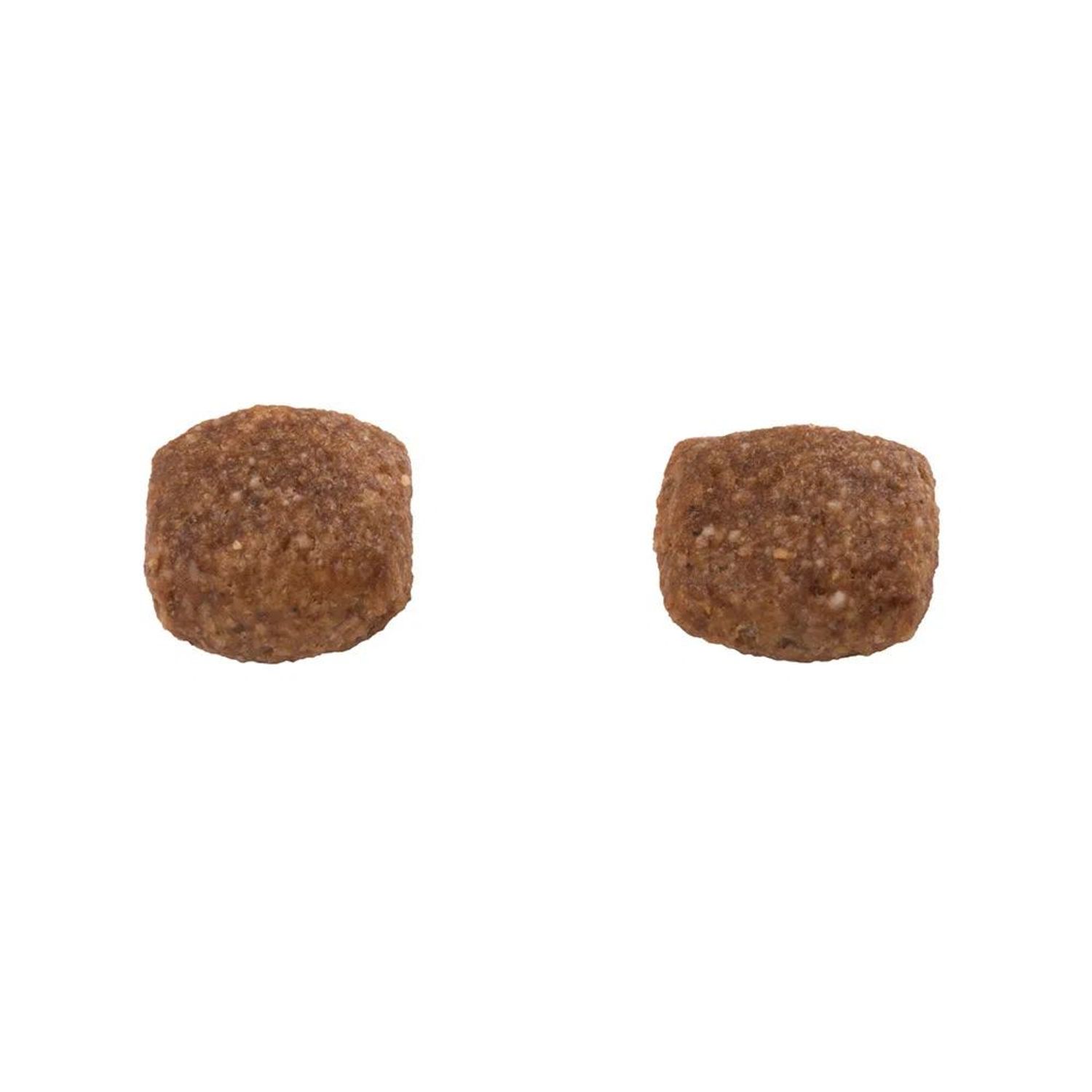 Racao-Guabi-Natural-Caes-Filhotes-Grande-e-Gigante-Frango-e-Arroz-detalhe-do-grao