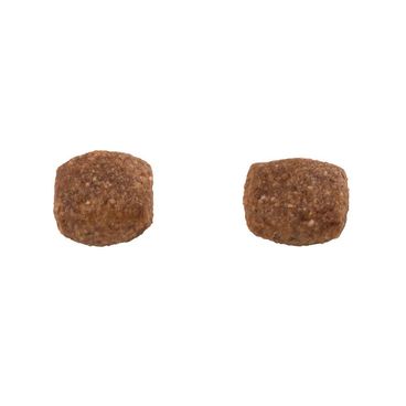 Racao-Guabi-Natural-Caes-Filhotes-Grande-e-Gigante-Frango-e-Arroz-detalhe-do-grao