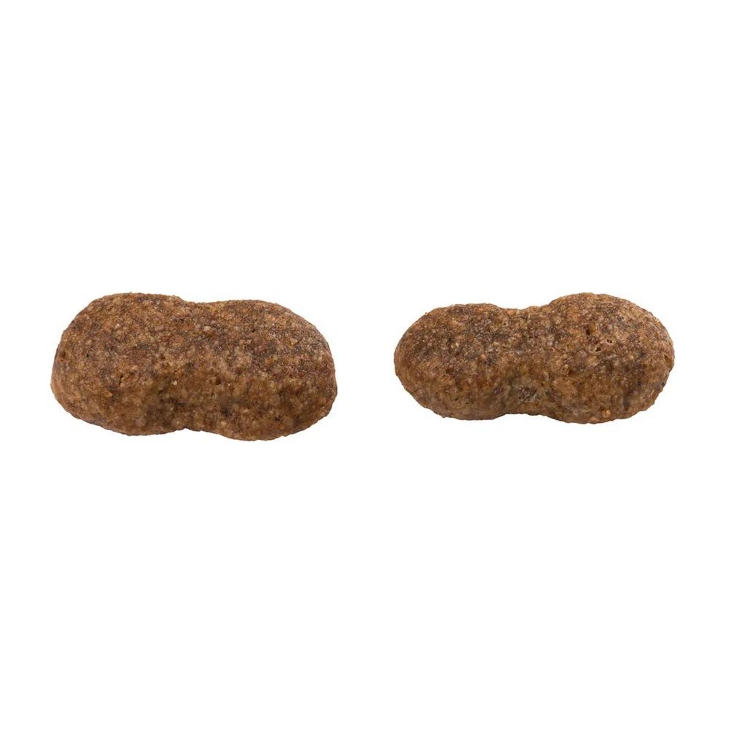 Racao-Guabi-Natural-Caes-Adultos-Grandes-Salmao-e-Cevada-Detalhe-do-grao
